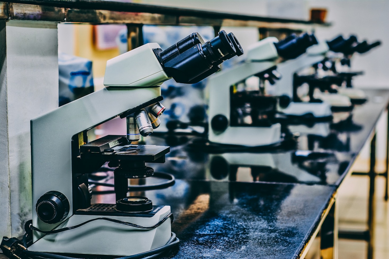 El impacto de la disciplina en el desarrollo académico
